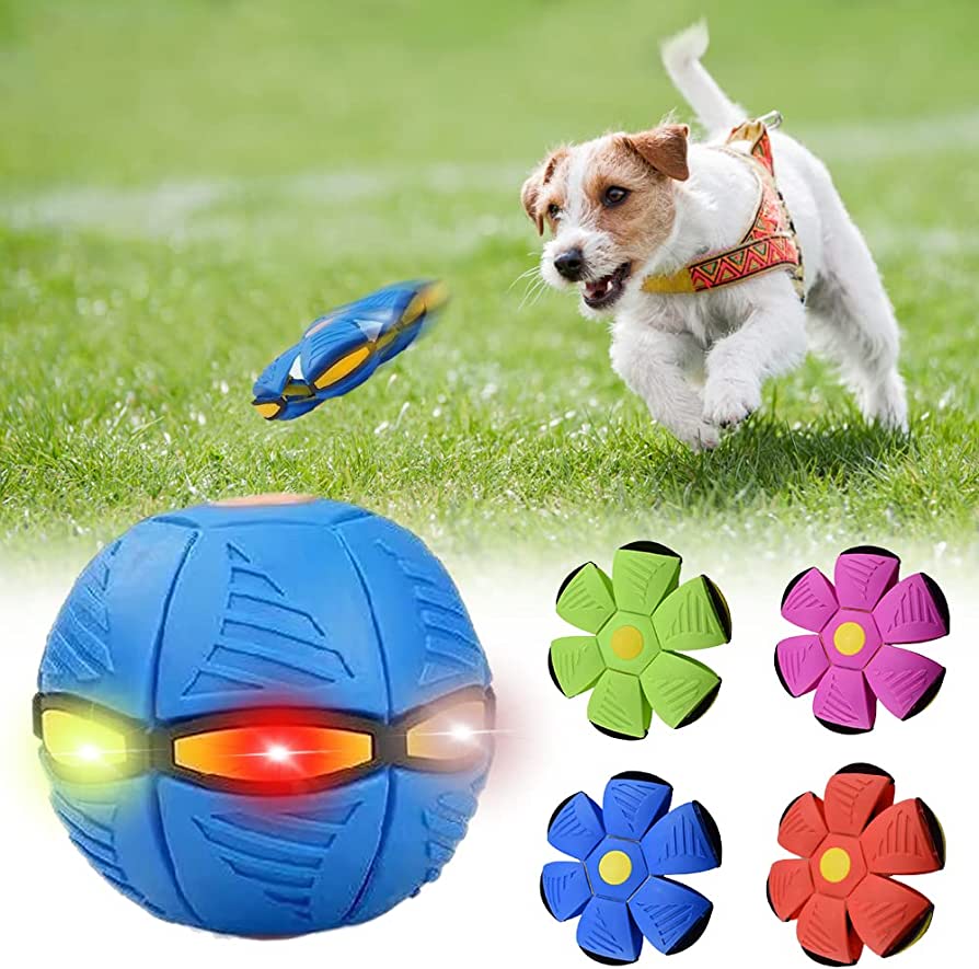 Frisbee para cães