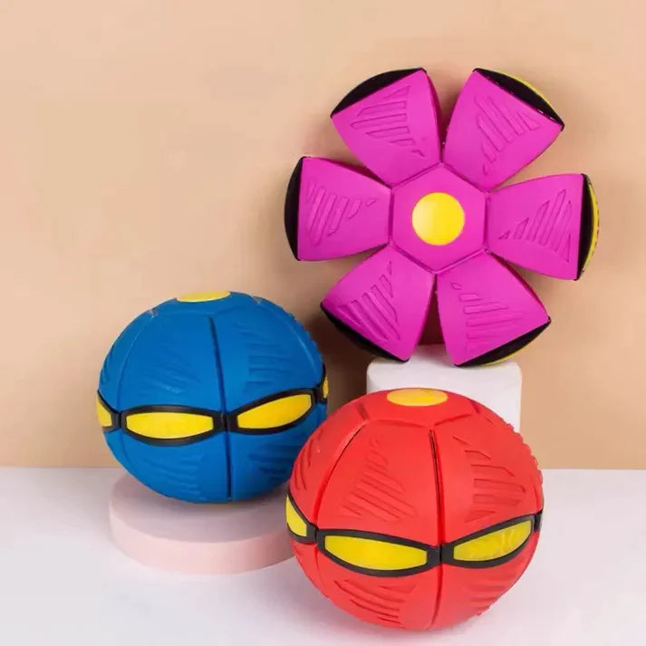 Frisbee para cães